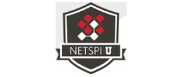 Netspi logo